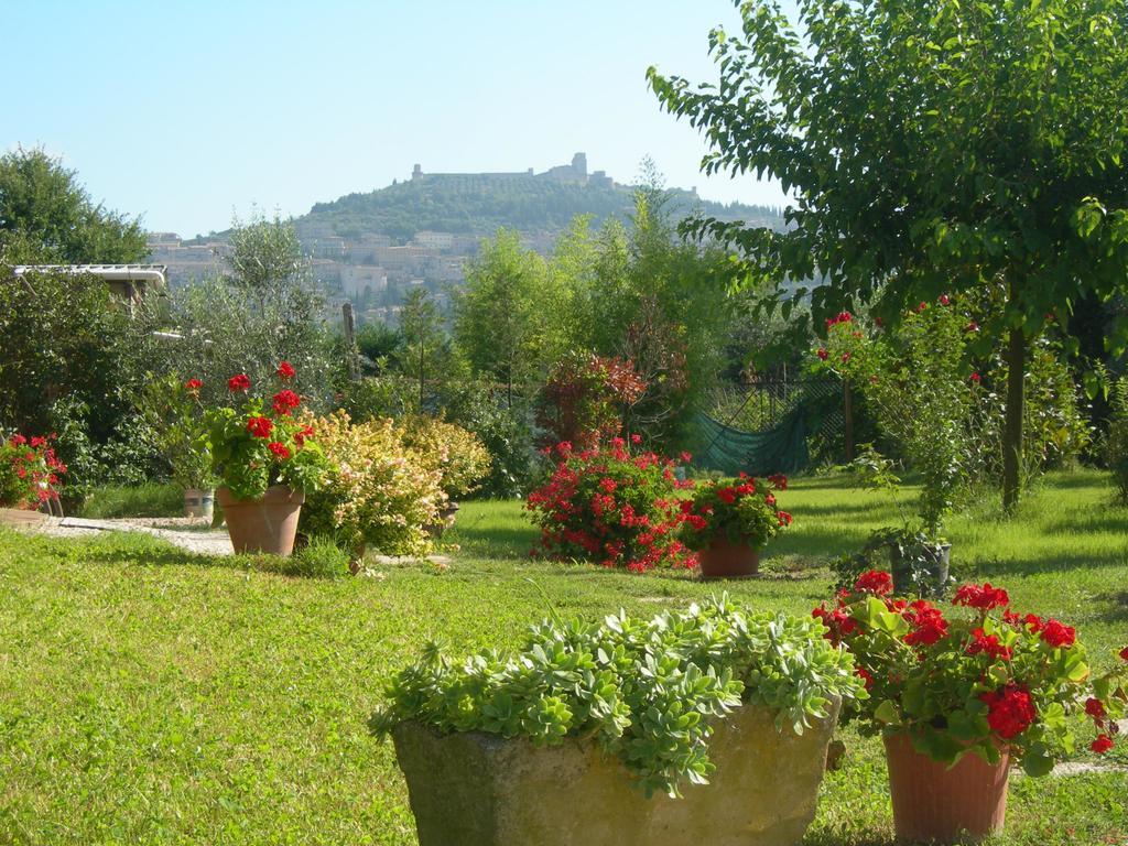 Bed and Breakfast Vista Asís Exterior foto
